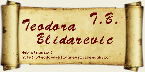 Teodora Blidarević vizit kartica